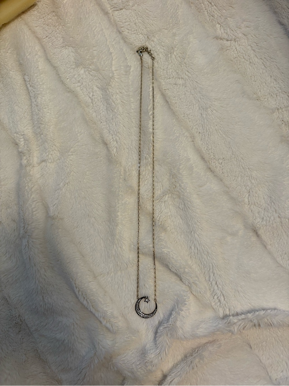 Stella & Dot Silver Crescent Moon Pendant Necklace